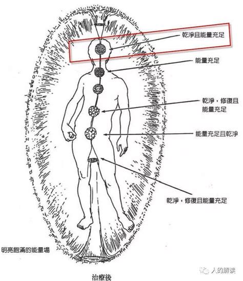 第三眼位置